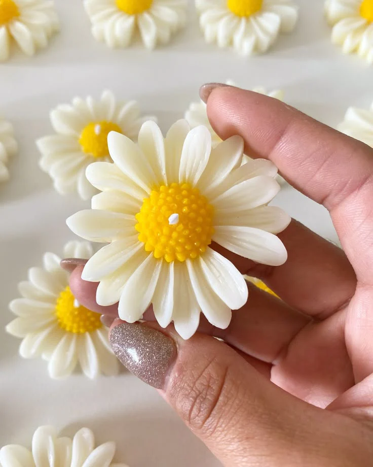 The Natural House Premium Scented Daisy Candles | Decorative Floating Daisy Flower Candles for Home Décor, Spa, Parties & Weddings | Daisy Birthday Candles | Assorted Colors | Pack of 6 Tealight-Size Floral Candles